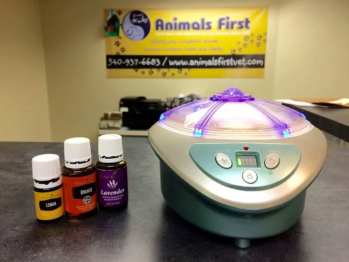 Animals First Holistic Veterinary Services - Dr. Lori Blankenship Picture 6
