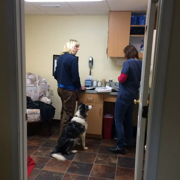 Animals First Holistic Veterinary Services - Dr. Lori Blankenship Picture 10