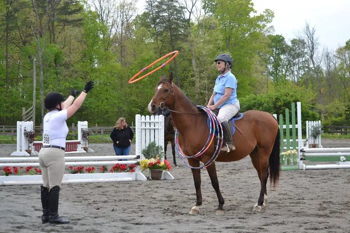Old Waterloo Equine Clinic Picture 1