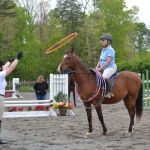 Old Waterloo Equine Clinic