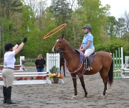 Old Waterloo Equine Clinic