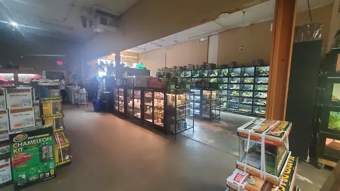 Twin Cities Reptiles Picture 1