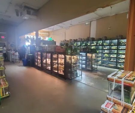 Twin Cities Reptiles