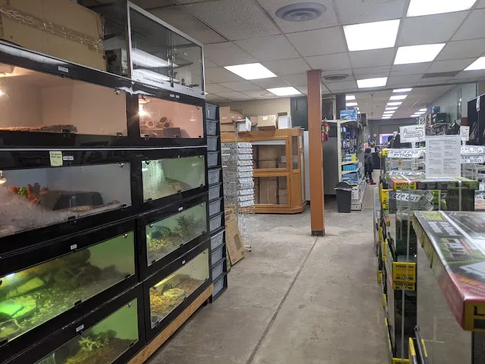 Twin Cities Reptiles Picture 9