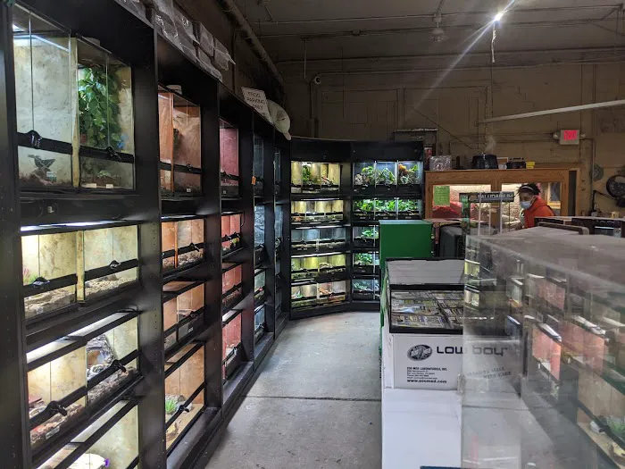 Twin Cities Reptiles Picture 10