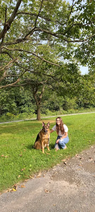 Rose Hill Veterinary Practice Picture 4
