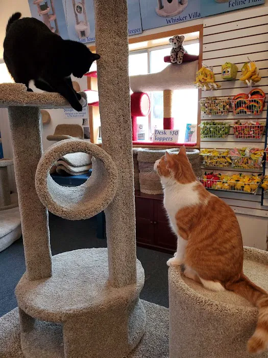 Purrniture Cat Furniture Picture 6