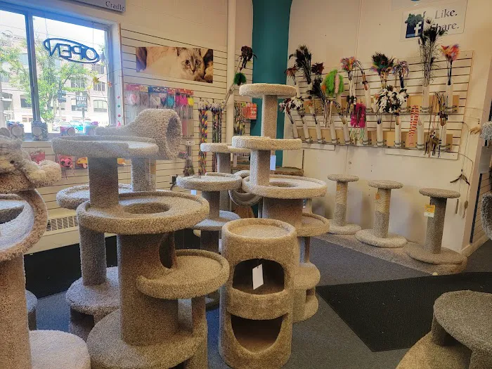 Purrniture Cat Furniture Picture 5