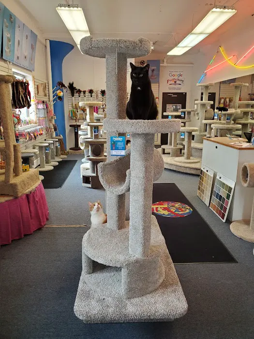 Purrniture Cat Furniture Picture 7