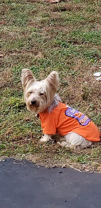 Banfield Pet Hospital Picture 10