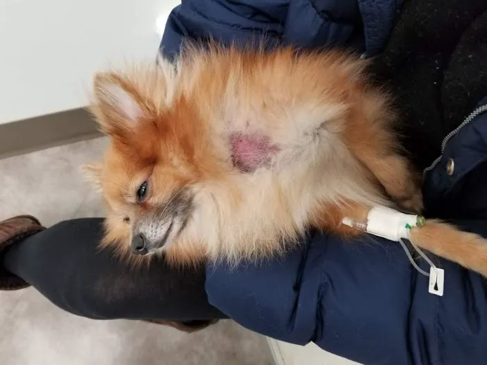 Banfield Pet Hospital Picture 7