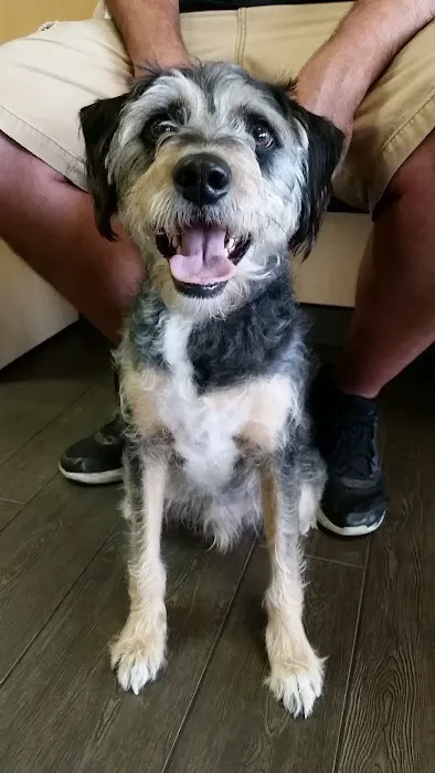 Banfield Pet Hospital Picture 5