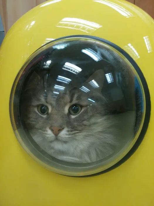 Pet Supplies Plus Minneapolis Picture 6