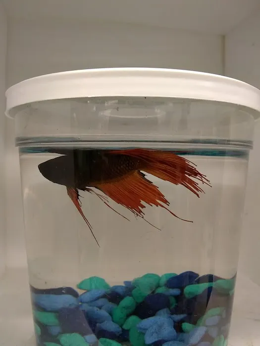 Pet Supplies Plus Minneapolis Picture 2