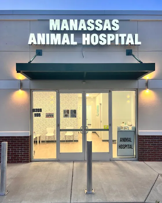 Manassas Animal Hospital Picture 9