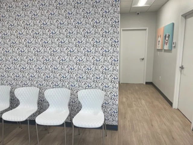 Manassas Animal Hospital Picture 4