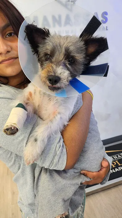 Manassas Animal Hospital Picture 10