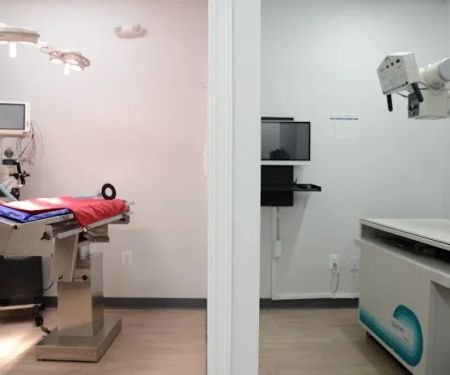 Manassas Animal Hospital