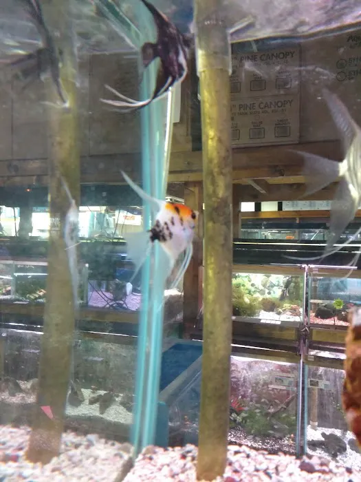 Aqualand Aquarium Center Picture 5