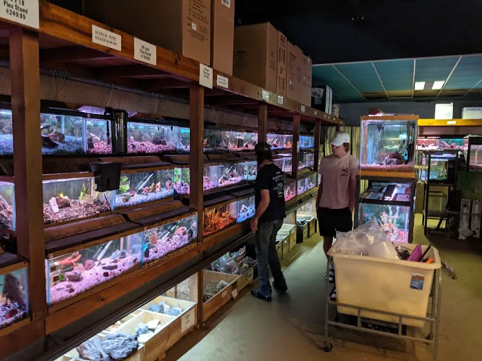 Aqualand Aquarium Center Picture 7