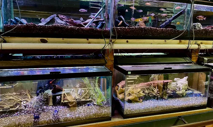 Aqualand Aquarium Center Picture 8
