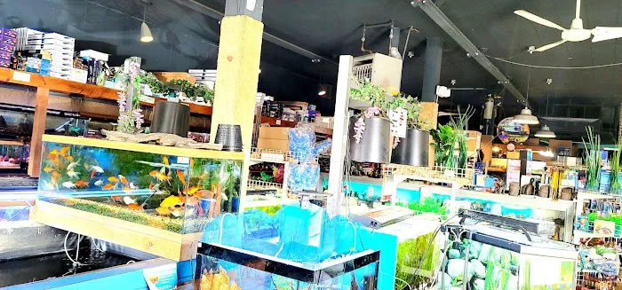 Aqualand Aquarium Center Picture 6