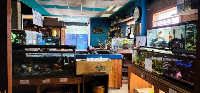 Aqualand Aquarium Center Picture 2
