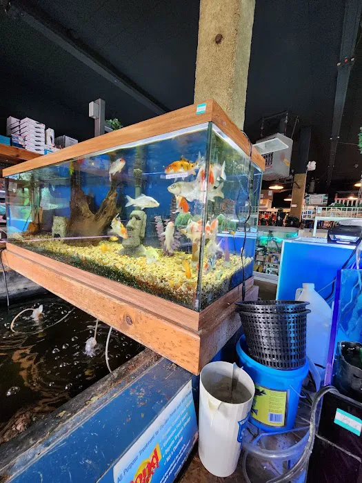 Aqualand Aquarium Center Picture 4