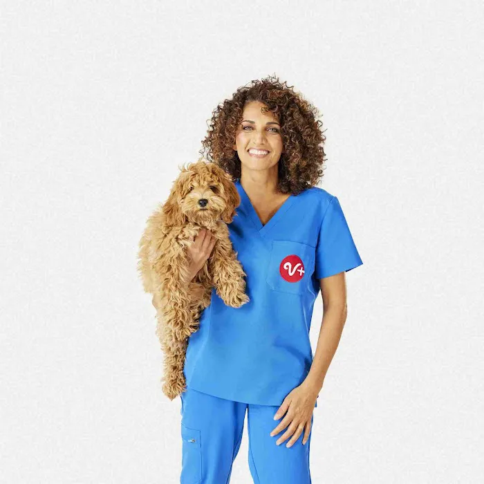 PetSmart Veterinary Services - Bristow (South Manassas) Picture 5