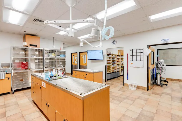 PetSmart Veterinary Services - Bristow (South Manassas) Picture 10