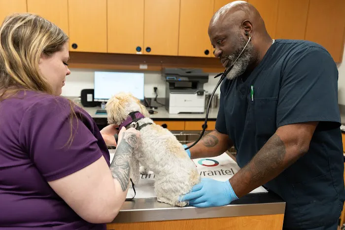 PetSmart Veterinary Services - Bristow (South Manassas) Picture 4