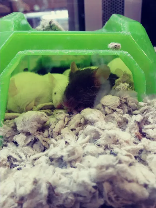 Petco Picture 6