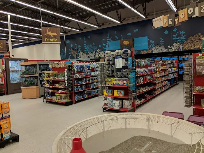 Petco Picture 2