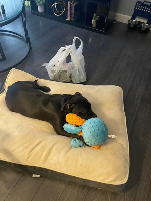 Petco Picture 4