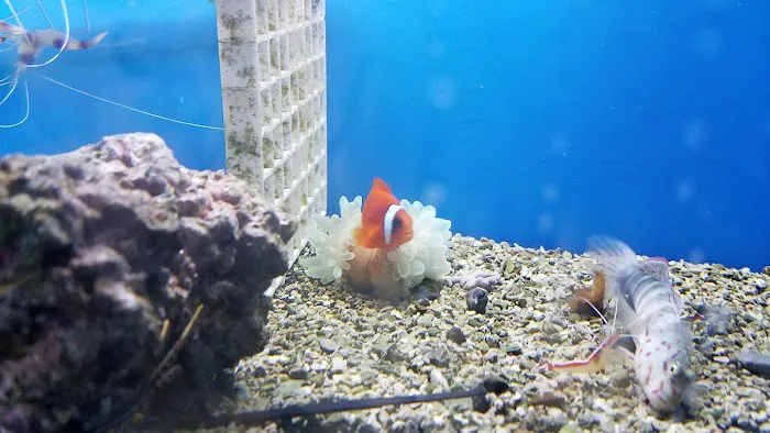 Petco Picture 3