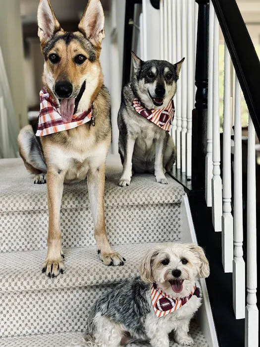 Ohana Veterinary Care Picture 3