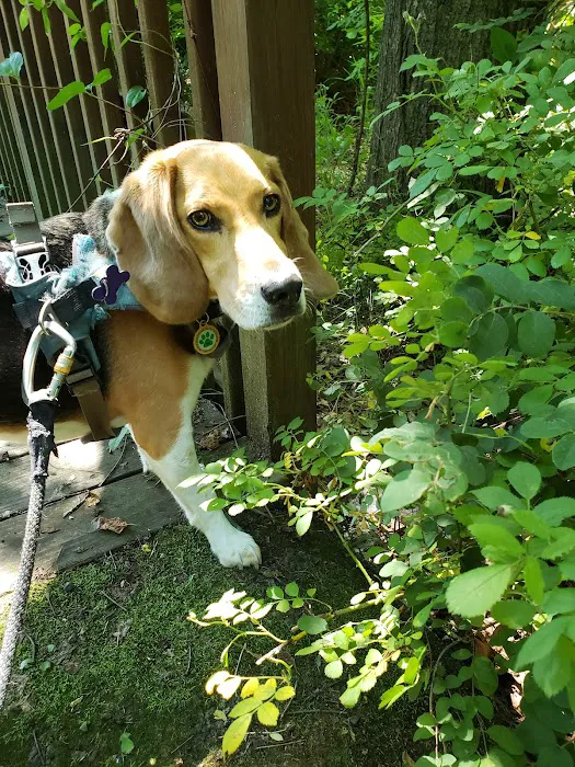Ohana Veterinary Care Picture 2