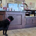 Ohana Veterinary Care