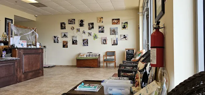 Ohana Veterinary Care Picture 6