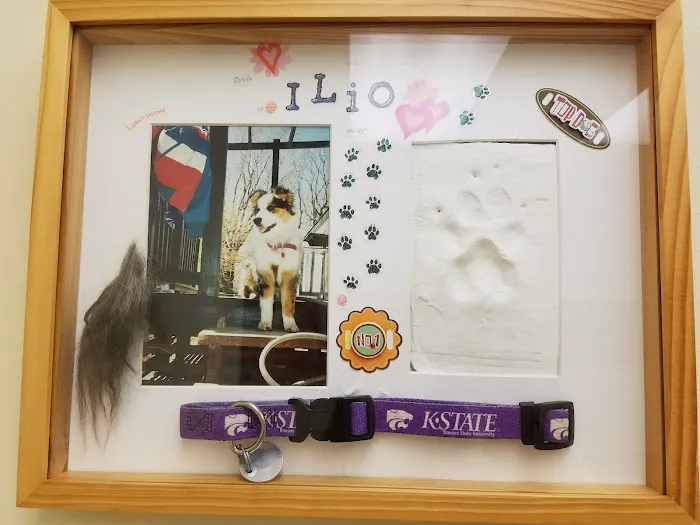 Ohana Veterinary Care Picture 9