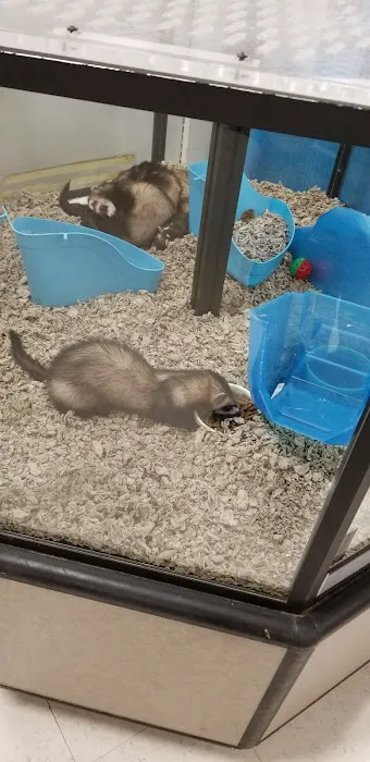 Petco Picture 2