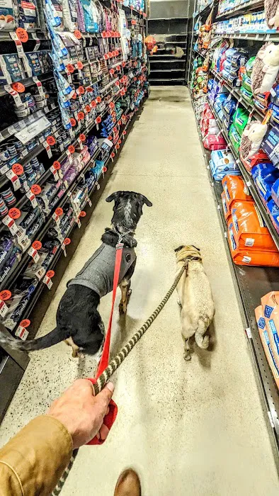 Petco Picture 8