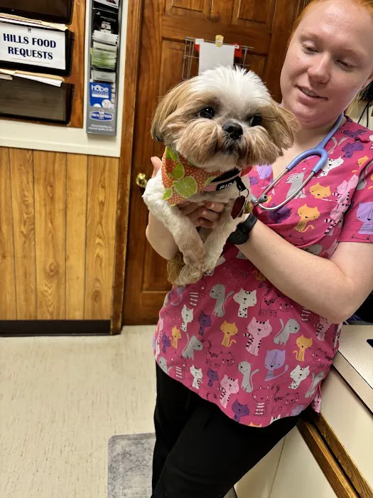 Prince William Animal Hospital Picture 6