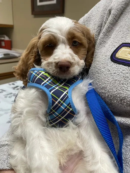 Prince William Animal Hospital Picture 7