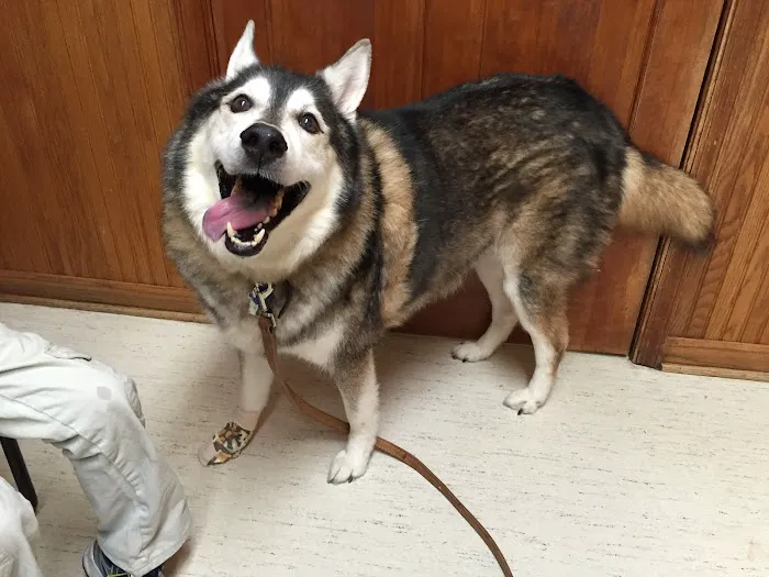 Prince William Animal Hospital Picture 3