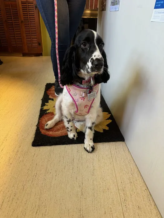 Prince William Animal Hospital Picture 10