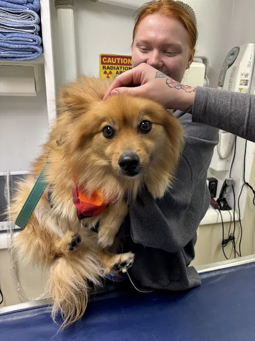 Prince William Animal Hospital Picture 9
