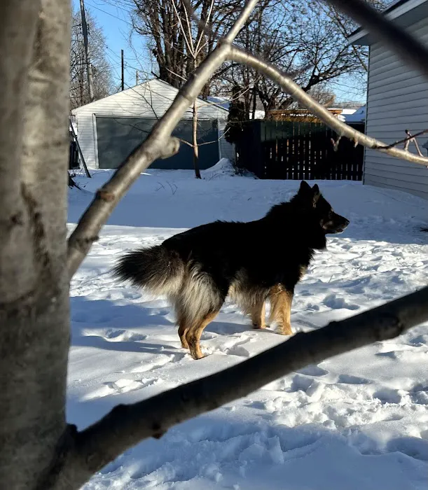 Chuck & Don's Pet Food & Supplies Picture 9