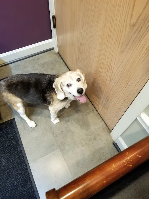 PetCentre Animal Hospital Picture 10