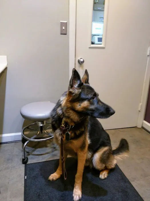 PetCentre Animal Hospital Picture 6